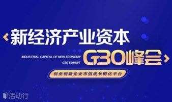 北京站·新经济产业资本·G30峰会
