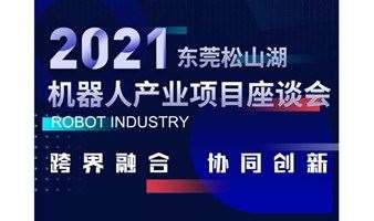 东莞松山湖机器人产业项目座谈会