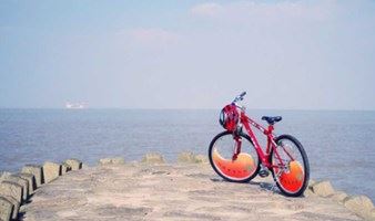 【骑行】上海最后的秘境-横沙岛骑行，看大海、抓螃蟹（1天）