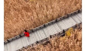 1日｜爬山虎•野鸭湖｜北京城郊藏着的大西北の拍出芦苇漫天-大批网红聚集于此-柳沟豆腐宴
