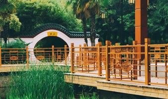 【单身活动】12.12来汉口中山公园聚聚，认识志趣相投的小哥哥小姐姐（武汉单身活动）