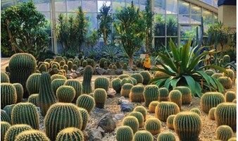相约藏在成都市区的仙气小森林，认识新朋友
