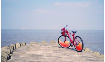 【骑行】上海最后的秘境-横沙岛骑行，看大海、抓螃蟹（1天）