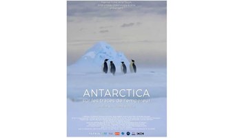 2022年法语活动月 | 法国纪录片 《南极洲，帝企鹅行迹》
