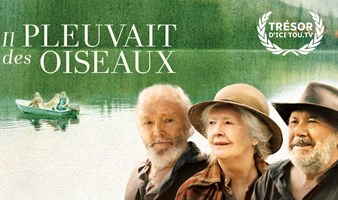 2022年法语活动月 | 加拿大电影《鸟儿如雨般落下》观影活动观影