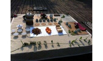 三品茶学户外雅集茶会 —— 运河亚运公园