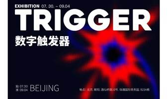 Trigger数字触发器—科技艺术展