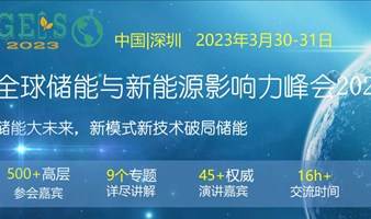 全球储能与新能源影响力峰会2023 GEIS2023