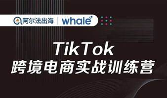 TikTok跨境电商实战训练营