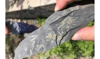化石小猎人 北京亲子游 周末遛娃 一日游研学 亲手采集亿万年前的化石标本