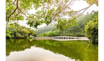 年初三 仙湖植物园游+弘法寺祈福 | 新年新气象，给兔年一个好意头