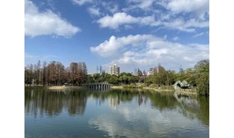 2.26 迷波隆桂湾公园散步+正念冥想：一天的“修行”，修复你的身心源动力