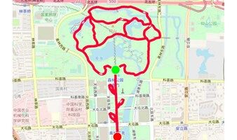 【Citywalk】2月12日情人节前夕带上你心爱的人，一起去徒步属于你的“13.14”玫瑰花奥森轻徒步