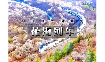 1日｜又见•花海列车｜居庸关长城-开往春天的列车の枝花正盛-春光正好-长城内外-分外妖娆