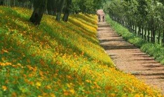 【端午假期】寻味海宁：逛吃南关厢老街，探寻海宁特色美食，漫步钱塘江边的浙江最美绿道，抓螃蟹看潮起潮落（上海）