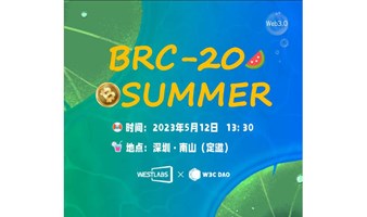 BRC-20 Summer