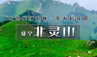 周末1日【北灵山B】高山草甸-北京驴友后花园-屋顶山脊-摘野韭菜季-北京户外一日登山徒步