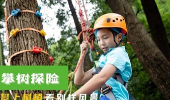 北京夏令营  森林探险家5日 攀树、飞跃丛林、浑水摸鱼、弓箭、植物解剖