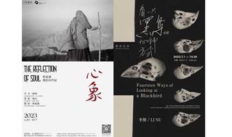 WPAC《心象》杨延康摄影原作展 X 剩余空间《看一只黑鸟的十四种方式》