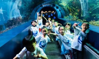 夜宿海洋館| 在北京海洋館，尋找屬于你的海底奇緣（可親子 可單飛）