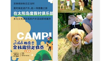 上海宠物友好户外活动：解锁日式露营+市集体验