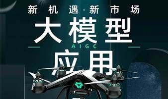 大模型行业应用
