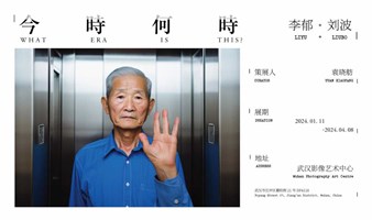 武汉影像艺术中心展览 | 李郁&刘波个展《今时何时》
