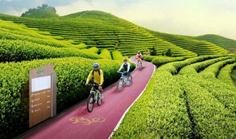 【骑行】骑行醉美茶海小径，相约网红自行车公园（上海1天活动）