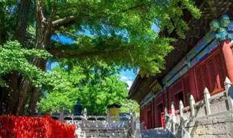 周末/假期1天｜红螺寺｜名山古刹の净土佛国-祈福纳祥-登山摄影-雁栖湖观景台