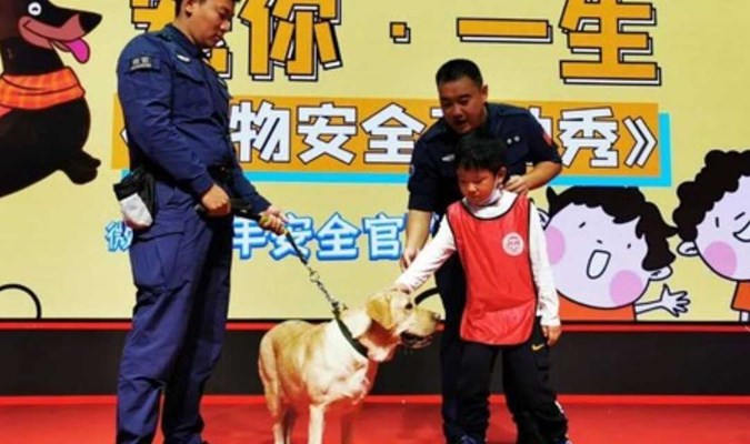 公益 志愿北京3工时，宠物伤害预防丨与工作犬亲密互动 ，望京麒麟社亲子下午场