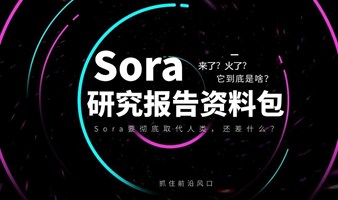 Sora新近研究资料包，免费下载 | 有人已经用Sora变现了，而你还不知道它是什么？