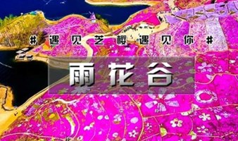 周末1日｜雨花谷｜遇见芝樱遇见你の中国最大芝樱花海-徜徉粉色花毯