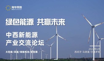 中西新能源产业交流论坛