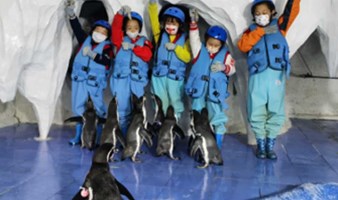 亲子1日营 小小企鹅保育员亲喂/制食/科普，与洪氏环企鹅零距离（全年多期）