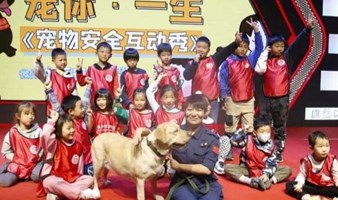 公益 志愿北京2工时，周末1日宠物伤害预防丨与工作犬亲密互动 ，朝阳区亲子下午场