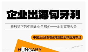 企业出海匈牙利，中国企业如何抢滩登陆全球蓝海市场