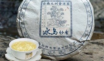 周日冰𡷊古树茶品鉴会