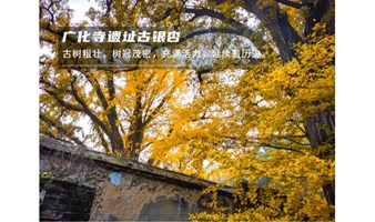 北京单身活动 周日情定广化寺｜户外单身专线｜京门铁路-广化寺-大觉寺-银杏传情