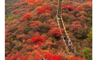 周三及周末1日水峪村红叶栈道【特惠】访明清完整的古村水峪村-南窑村1日10公里徒步