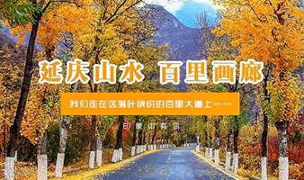 周末1日游｜百里画廊｜醉美延庆山水-秋色画廊-领略延庆秋天山水百里之美