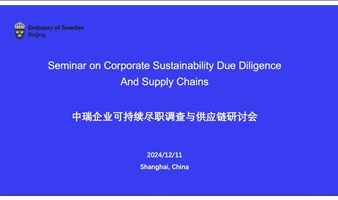 Seminar - Corporate Sustainability Due Diligence and Supply Chains