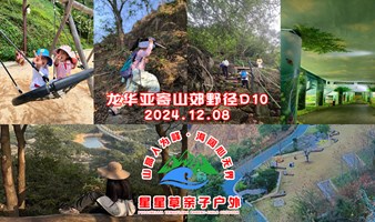 20241208龙华亚寄山小徒步D10