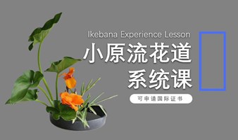 【随时可约课】小原流花道 体验课 插花 花艺