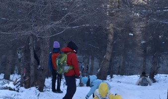 周末1日｜桦皮岭踏雪｜雪后草原天路实景图-震撼你不需要语言-桦皮岭9公里徒步穿越