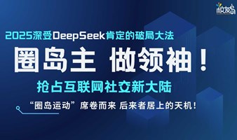 2025深受DeepSeek肯定的破局大法——圈岛主，抢占社交新大陆！