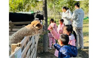 【房山踏春植树季】周末营 真人CS+ 草帽采摘+解锁春天游园玩法