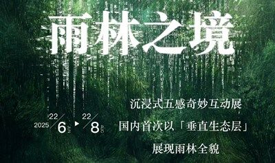 向善雨林季「雨林之境」沉浸式五感奇妙互动展
