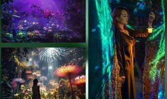 向善雨林季「雨林之境」沉浸式五感奇妙互动展