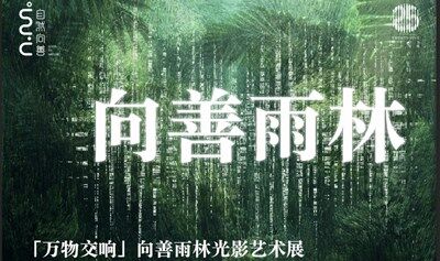 「万物交响」向善雨林光影艺术展