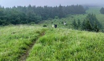 周末1日｜徒个• 老龙窝｜穿林海行走高山草甸の老龙窝11公里环穿